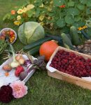 Quels légumes cultiver selon le type de sol ? Quels légumes cultiver selon le type de sol ?