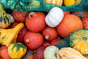 Différentes espèces de courges à cultiver au potager en permaculture