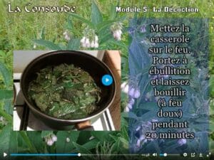 Préparation d'un décoction de consoude
