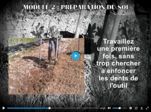 Préparation du sol en vue de semis directs au potager