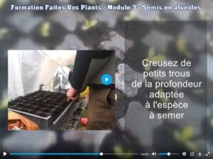 Semis en plaques alvéolées