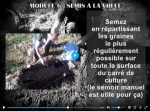 Semis à la volée carré potager avec terreau