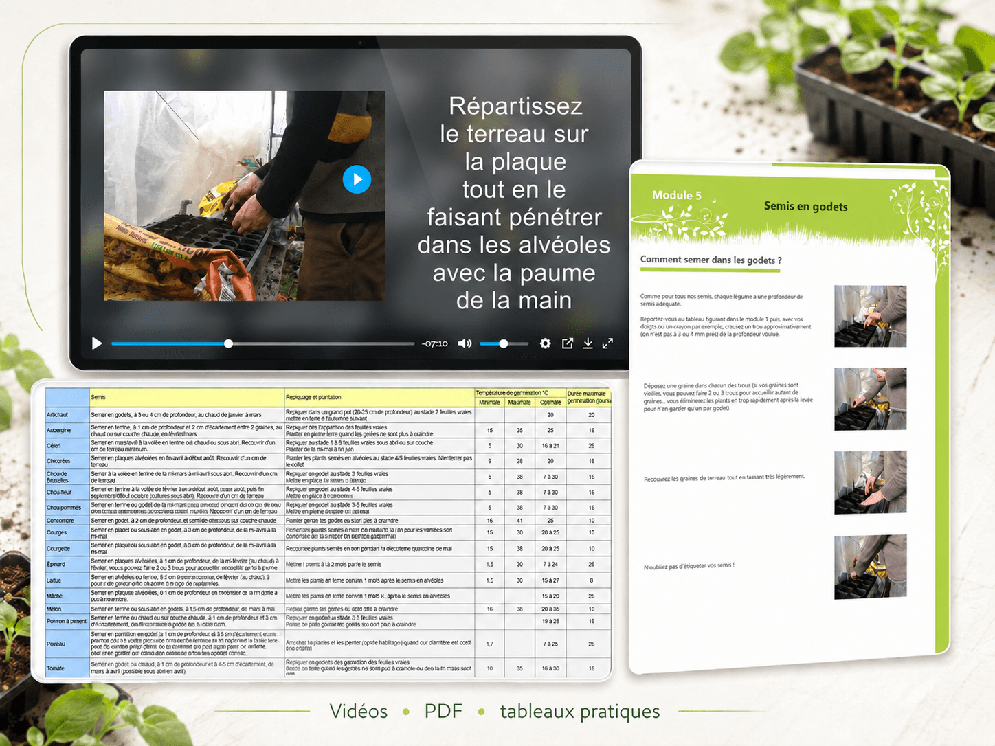 Formation multimédia (vidéo, documents PDF, tableaux) pour réussir les plants de légumes en pépinière