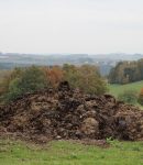 Fumier de cheval : bien l’utiliser au potager en permaculture Fumier de cheval au jardin en permaculture