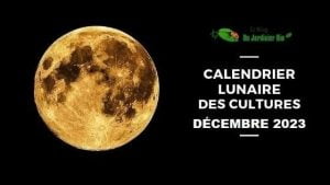 Calendrier lunaire pour jardiner avec la Lune en décembre 2023 - PDF
