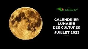 Calendrier lunaire pour jardiner avec la Lune en juillet 2023 - PDF