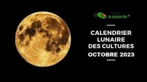 Calendrier lunaire pour jardiner avec la Lune en octobre 2023 - PDF