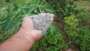Poignée de cendres de bois pour potager bio