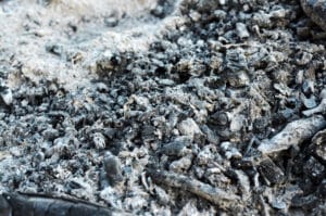 Cendres de bois pour amendement potager bio