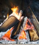 Cendres de bois : un amendement naturel pour le jardin bio Cendres de bois pour amendement potager bio