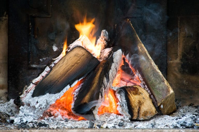 Cendres de bois pour amendement potager bio