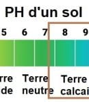Comment aborder un sol calcaire ? Un sol calcaire a un PH supérieur à 7.5