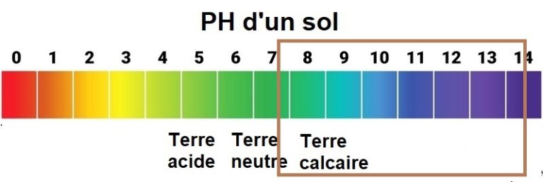 Un sol calcaire a un PH supérieur à 7.5