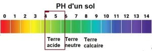 Une terre est acide avec un PH inférieur à 6.5