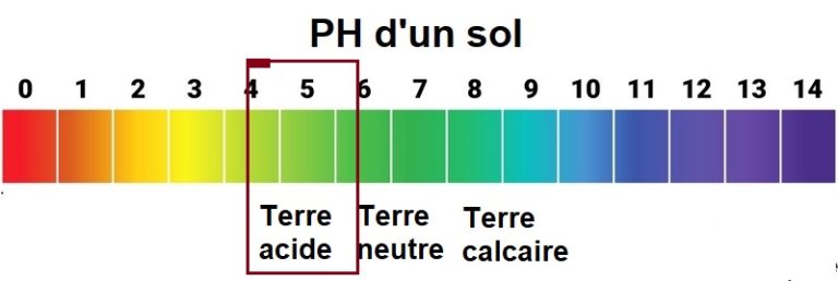 Une terre est acide avec un PH inférieur à 6.5