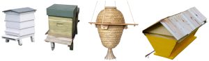 Différentes formes de ruches
