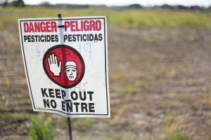 Les pesticides nuisent aux abeilles