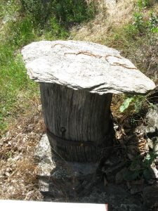 Ruche tronc