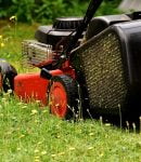 Comment utiliser les tontes au jardin ? Pourquoi et comment utiliser les tontes au jardin ?