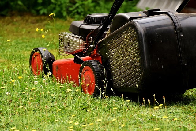 Pourquoi et comment utiliser les tontes au jardin ?
