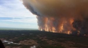 Feux de forêts au Canada, une catastrophe écologique