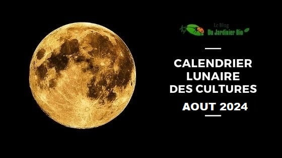 Calendrier lunaire pour jardiner avec la Lune en août 2024 - PDF
