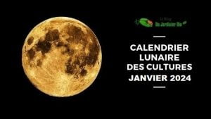 Calendrier lunaire pour jardiner avec la Lune en janvier 2024 - PDF