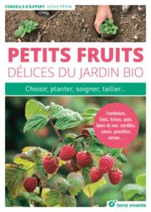 Cultivez des Petits fruits au jardin bio