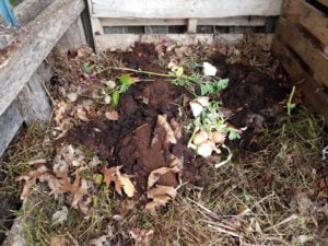 Marc de café dans compost
