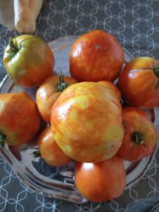 Tomate-punaise