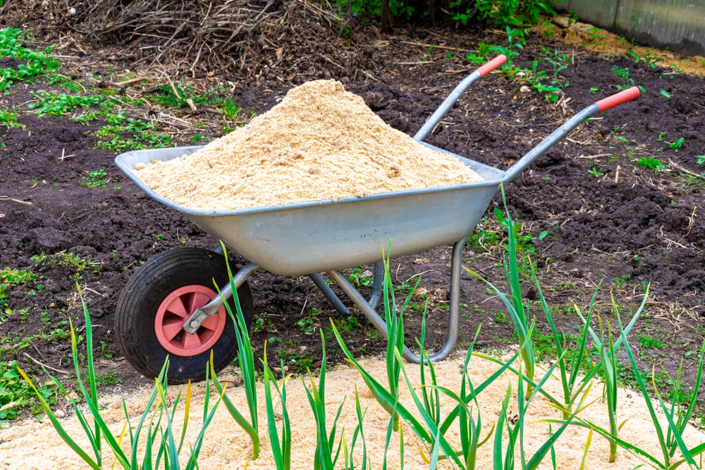 Sciure de Bois au Jardin Avantages et Précautions d