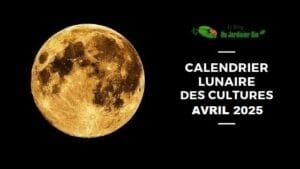 Calendrier lunaire pour jardiner avec la Lune en avril 2025 - PDF