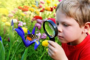 Enfant observant un papillon