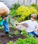 Semer l'amour de la nature : Jardiner avec les enfants pour cultiver des souvenirs et des légumes Jardiner avec les enfants
