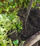 Une terre vivante, un jardin heureux : secrets de la fertilisation naturelle Terre vivante, base de la fertilisation naturelle
