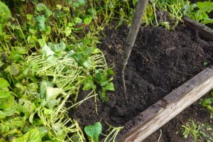 Terre vivante, base de la fertilisation naturelle