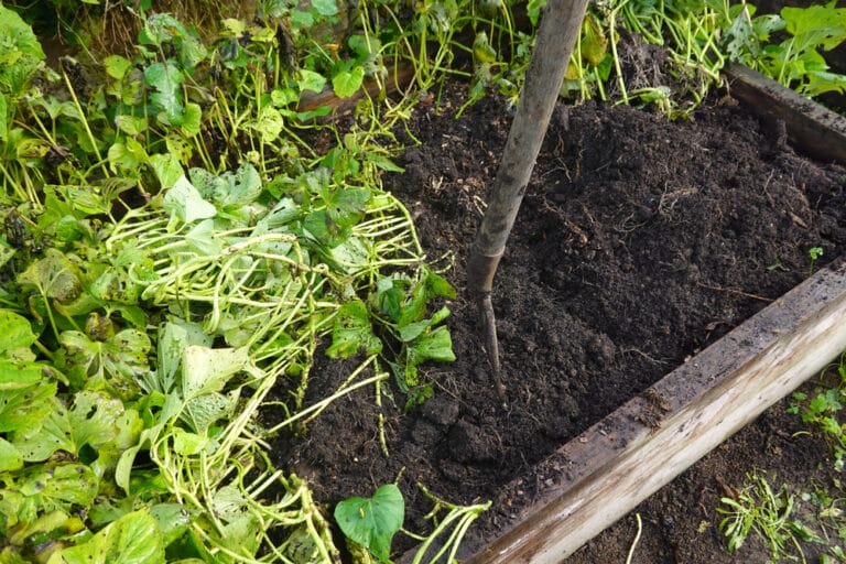 Terre vivante, base de la fertilisation naturelle