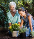 Ce que les anciens savaient (et que nos jardins ont oublié) Transmission savoirs anciens jardiniers à nouvelle génération
