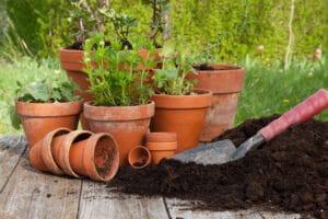 Terreau grossier - compost - pour rempotage