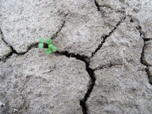 Croûte de surface bloquant la levée
