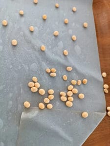 Test de germination de graines