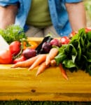 Réussir cultures potagères naturellement