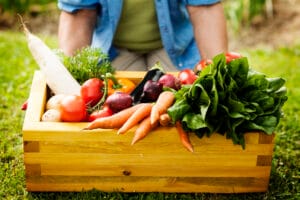 Réussir cultures potagères naturellement