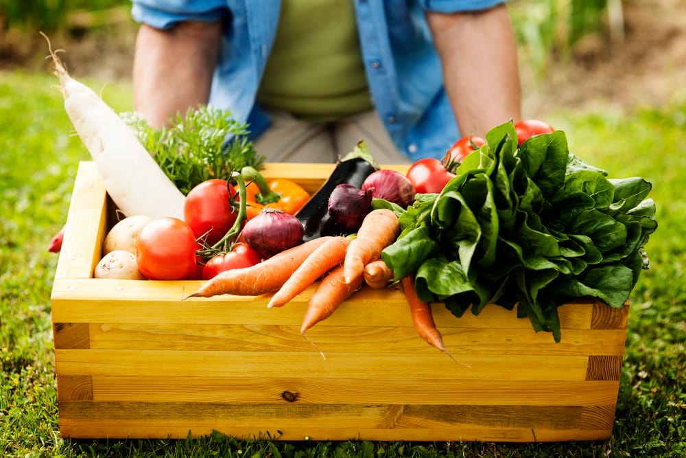 Réussir cultures potagères naturellement