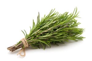 Bouquet de romarin