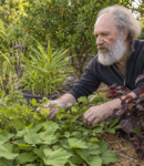 Sans serre, comment cultiver des plantes exotiques comestibles au jardin naturel ? Cultiver des légumes exotiques sans serre, c'est possible !